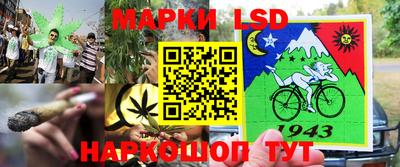 ГАЛЛЮЦИНОГЕННЫЕ ГРИБЫ Нарткала